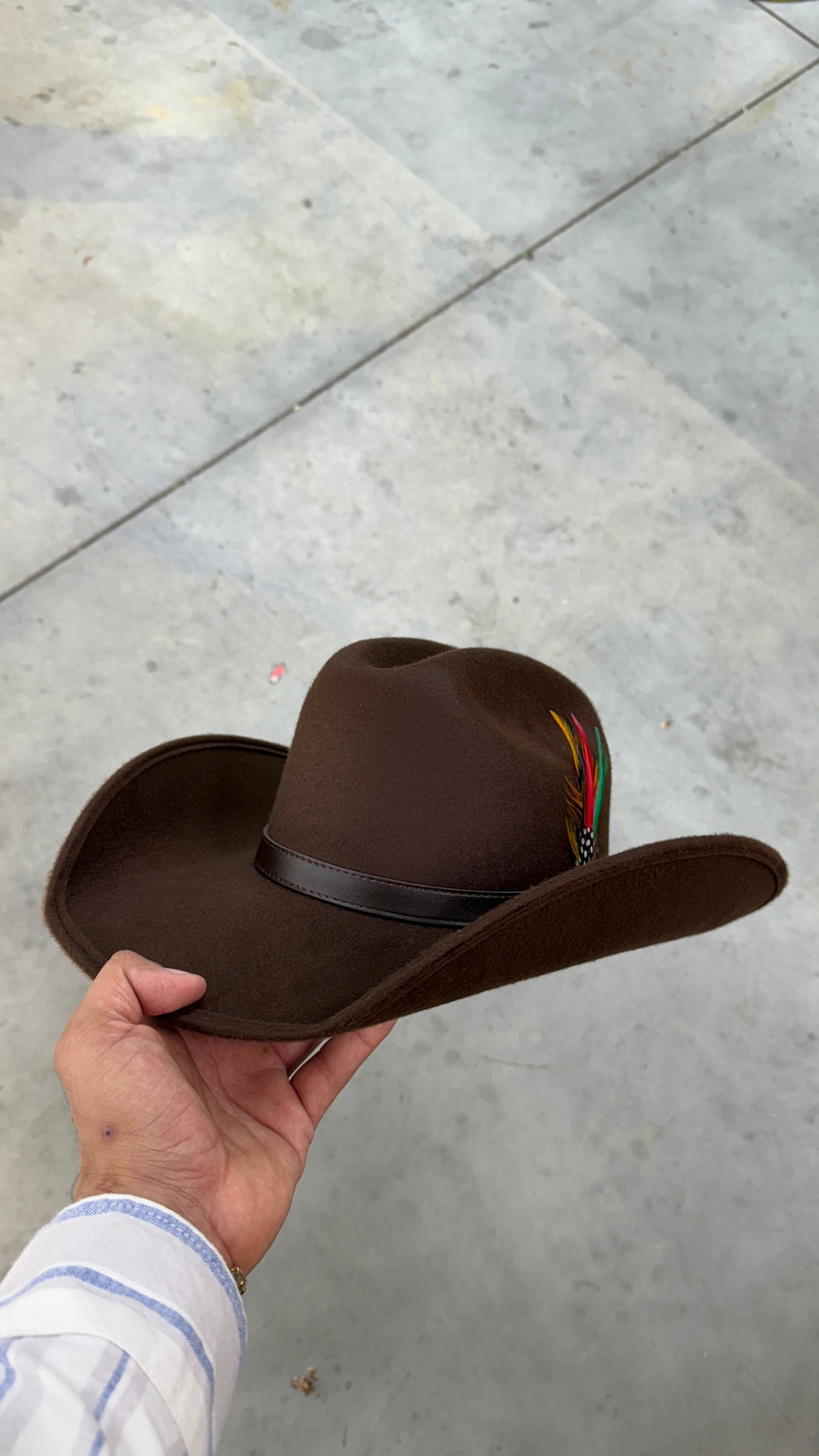 Brown Cowboy Hat