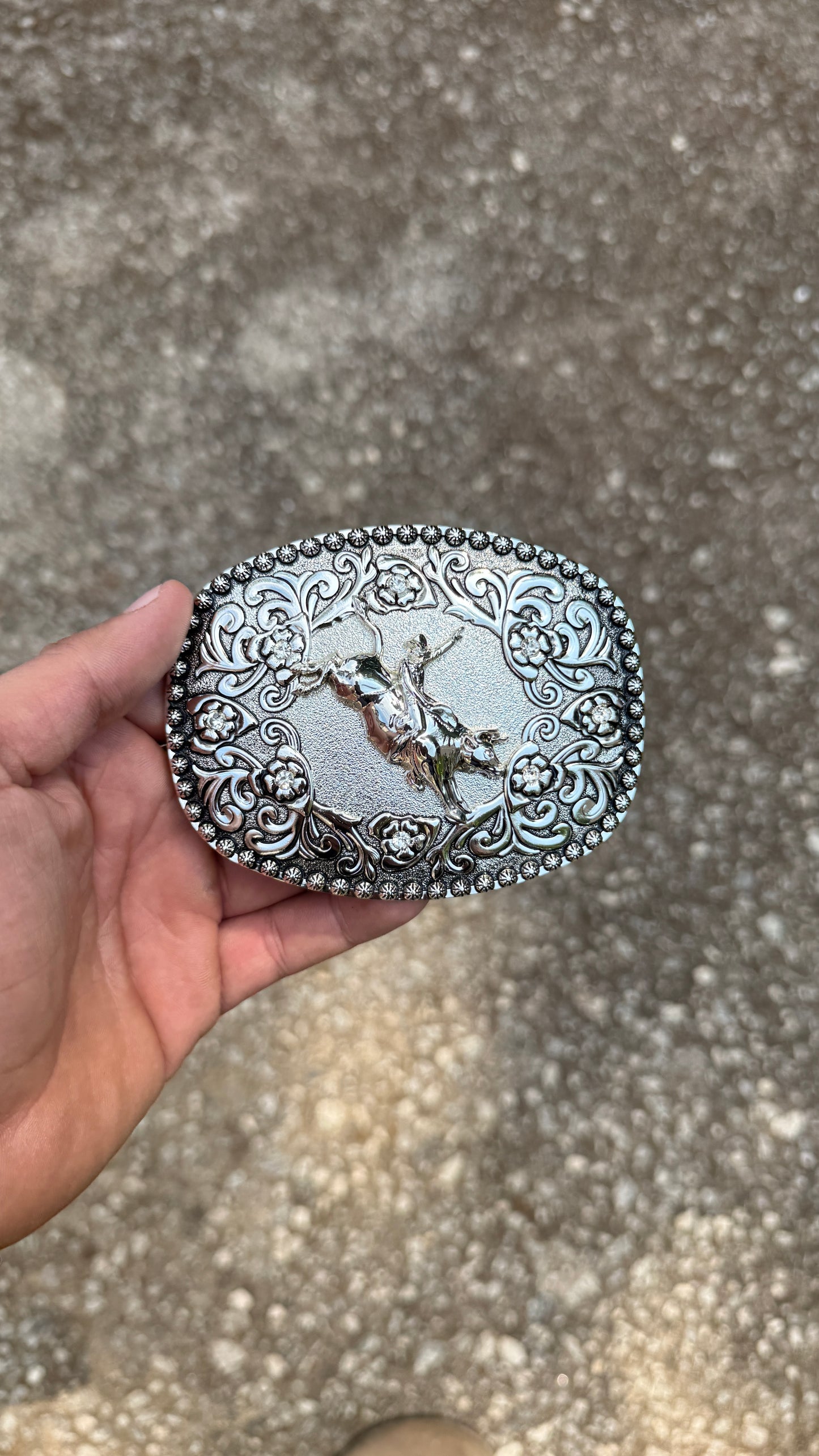 Bull Rider Buckle